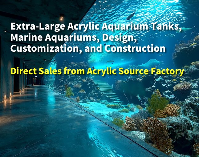Extra-Large Acrylic Aquarium Tanks, Marine Aquariums, Design, Customization, and Construction