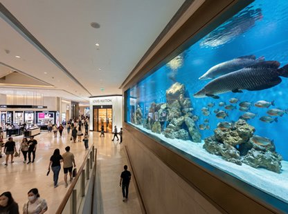 Shopping mall fish tank