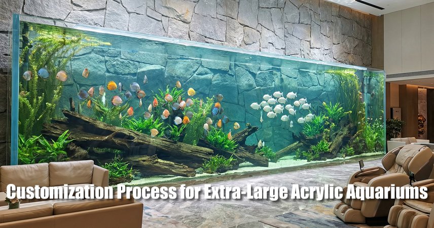 How to Customize a High-Quality Large Acrylic Fish Tank？