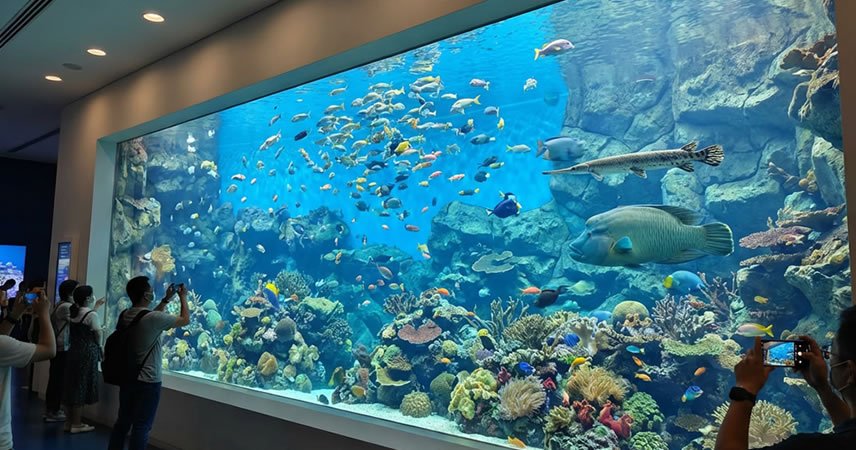Acrylic panels for a giant fish tank owned by a social media influencer with 10 million followers in Northeast China have been manufactured and are ready to be shipped to the region for installation.